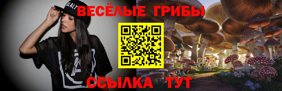 Новочеркасск  Псилоцибиновые грибы прущие грибы  Псилоцибиновые грибы Psilocybe  Вход с VPN 
